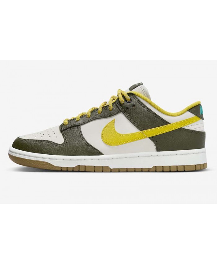 SB Dunk Low Skateboard shoes