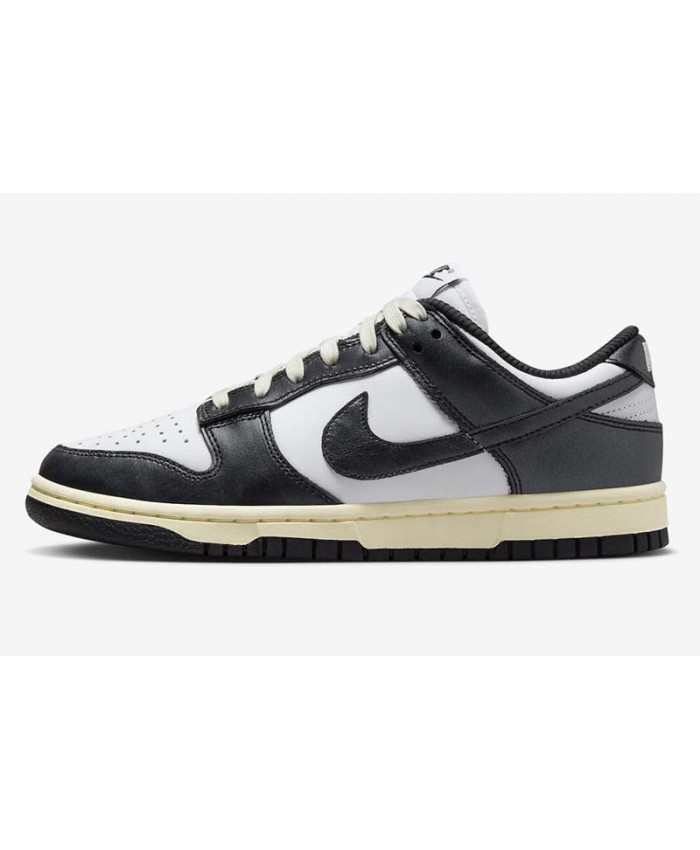 SB Dunk Low Skateboard shoes