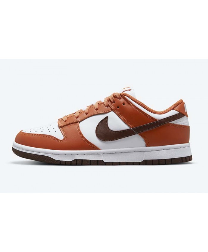 SB Dunk Low Skateboard shoes