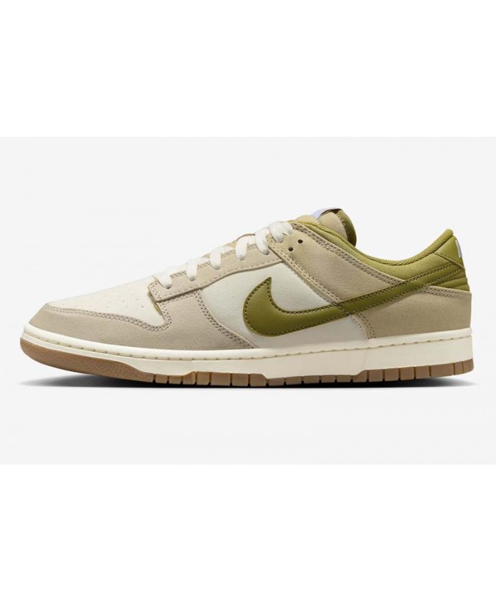 SB Dunk Low Skateboard shoes