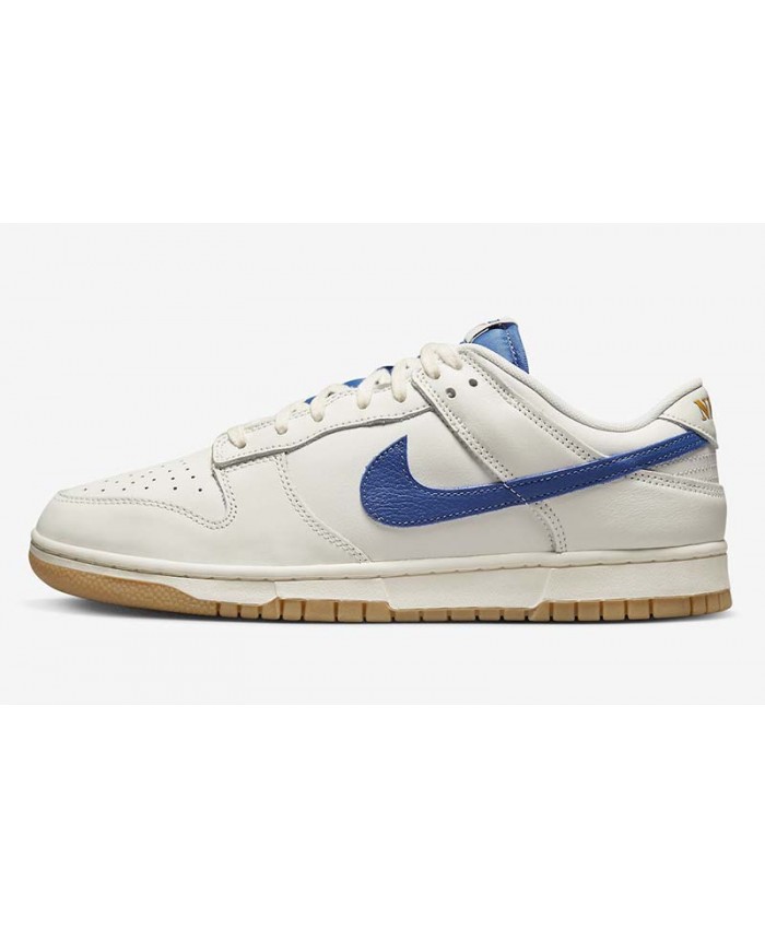 SB Dunk Low Skateboard shoes