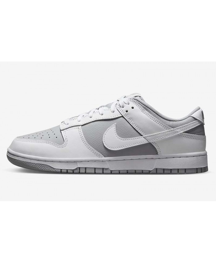 SB Dunk Low Skateboard shoes