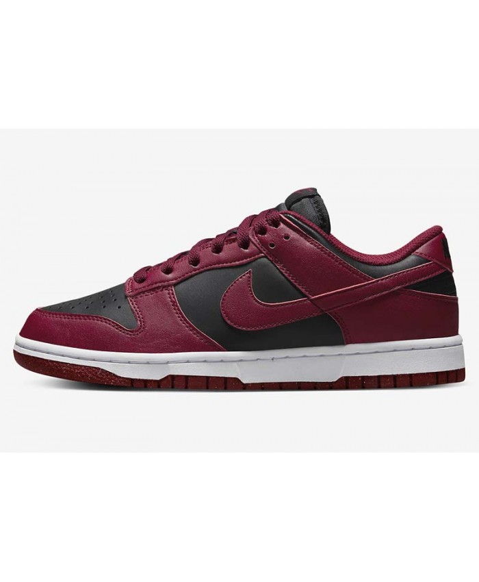 SB Dunk Low Skateboard shoes