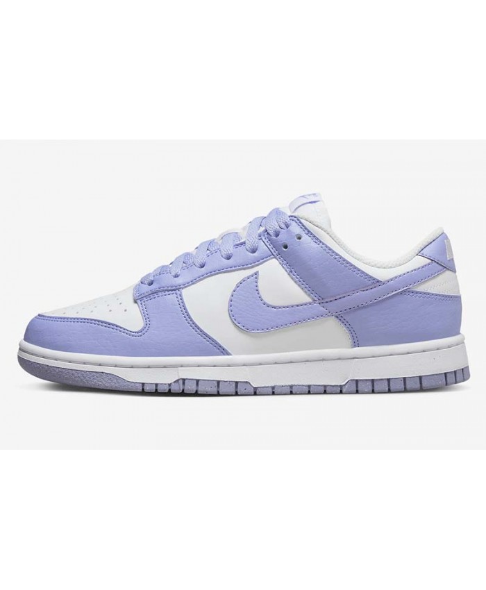 SB Dunk Low Skateboard shoes