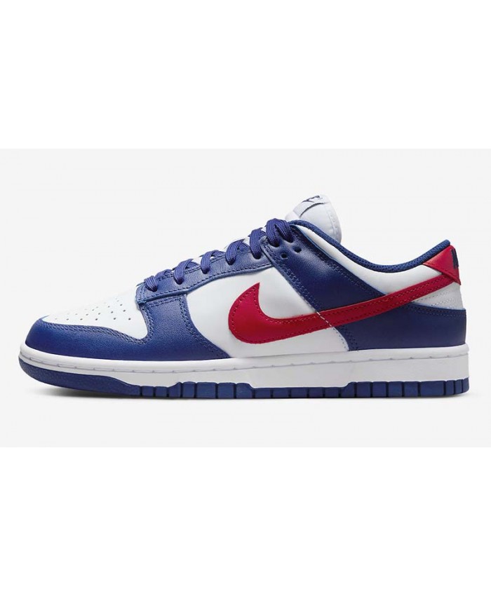 SB Dunk Low Skateboard shoes