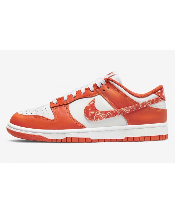 SB Dunk Low Skateboard shoes