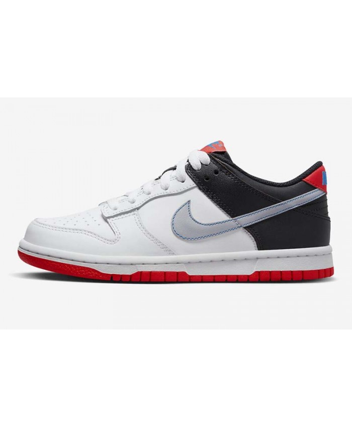 SB Dunk Low Skateboard shoes