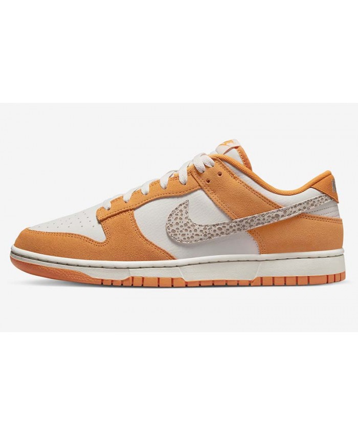 SB Dunk Low Skateboard shoes