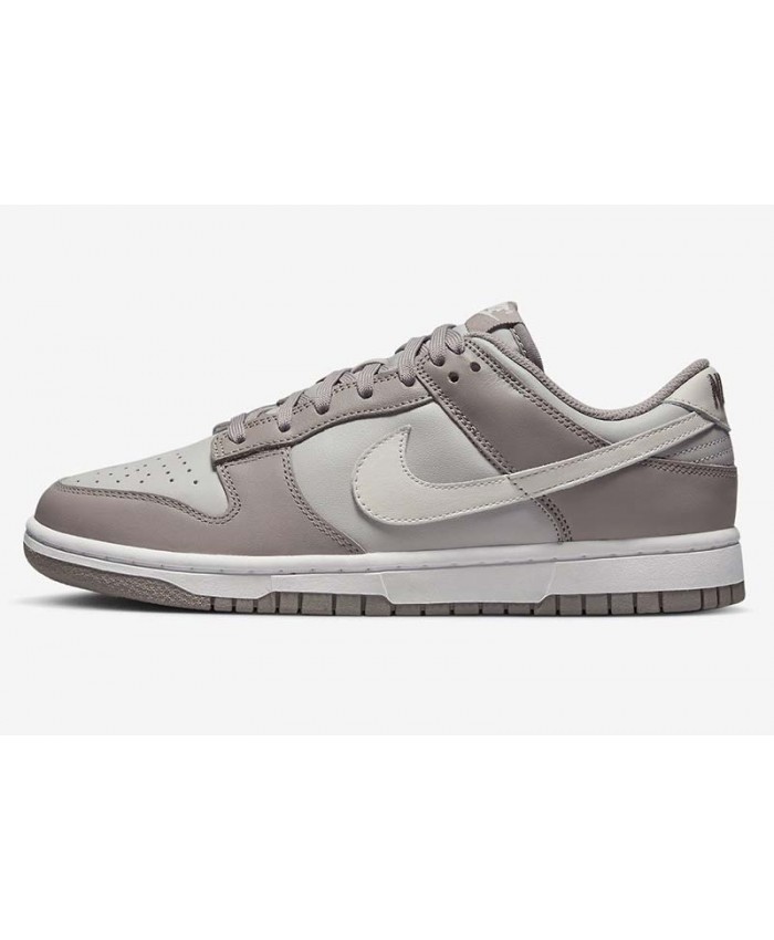 SB Dunk Low Skateboard shoes