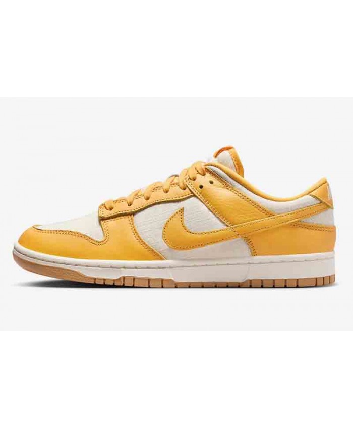 SB Dunk Low Skateboard shoes