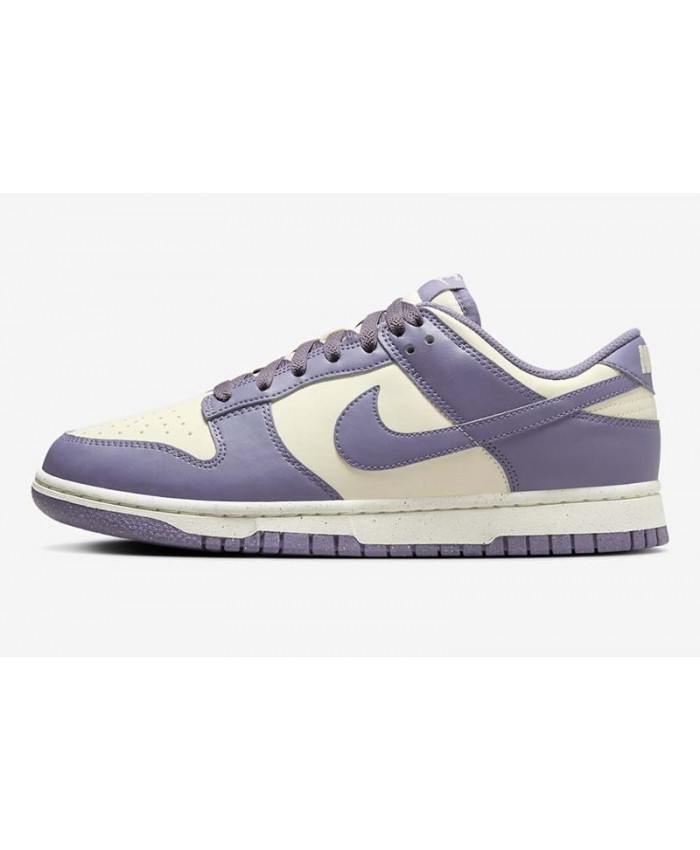 SB Dunk Low Skateboard shoes