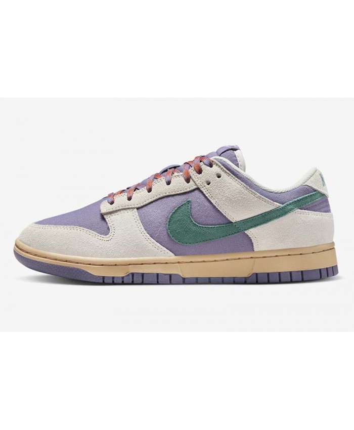 SB Dunk Low Skateboard shoes